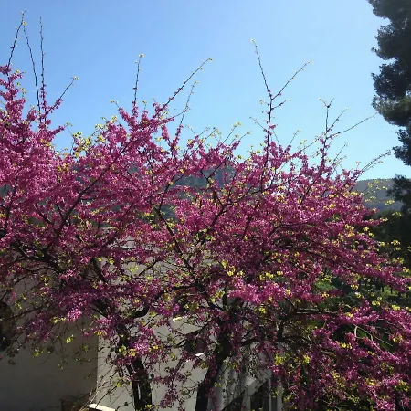 By Privee Dans Maison Familiale Séjour chez l'habitant